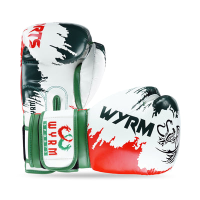Patriotic Mexican Leather Boxing Gloves