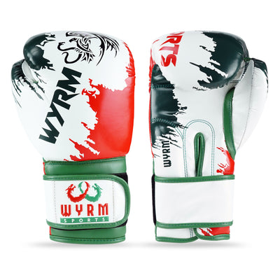 Patriotic Mexican Leather Boxing Gloves